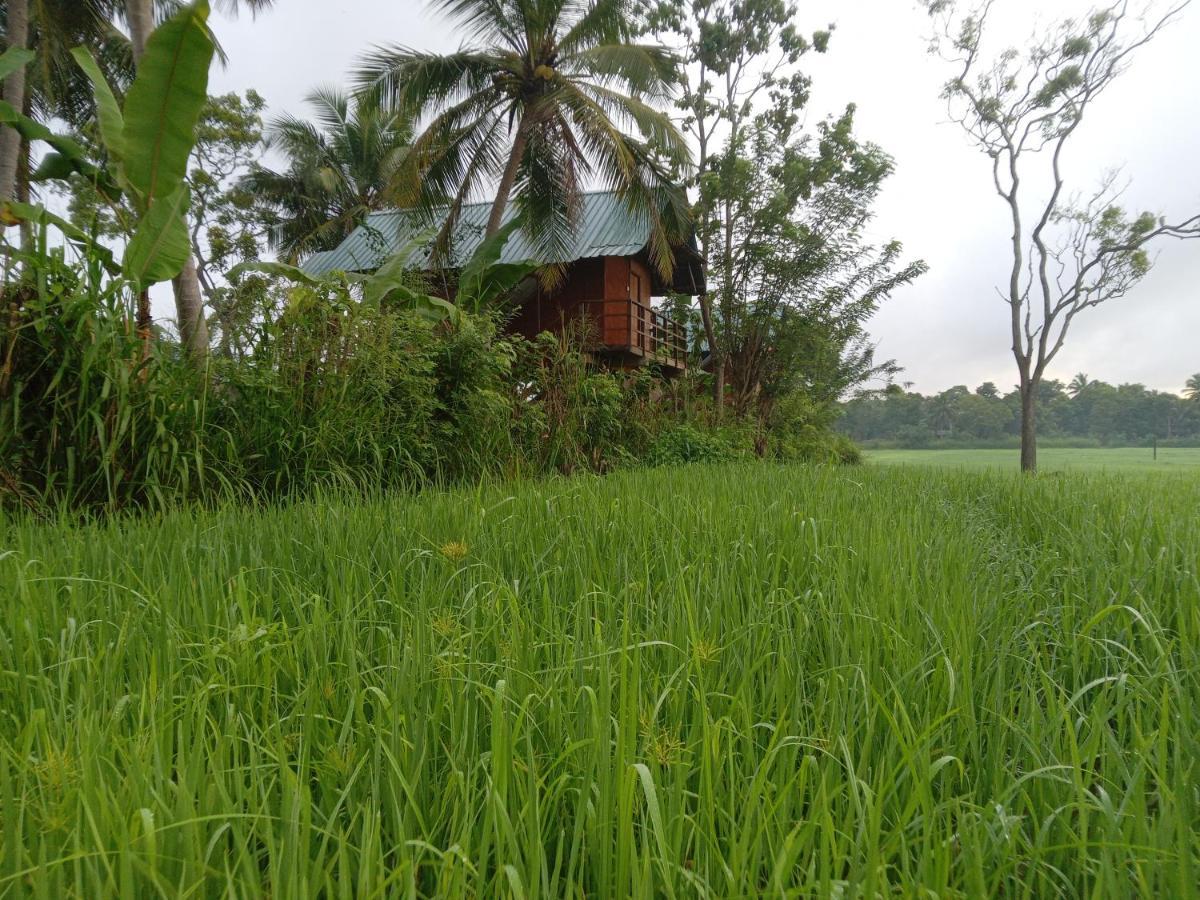 Villa Sigiriya Paddy Field Hut Exterior foto